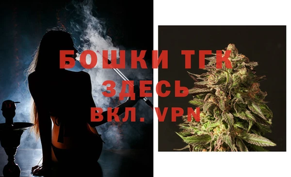 дурь Верхний Тагил