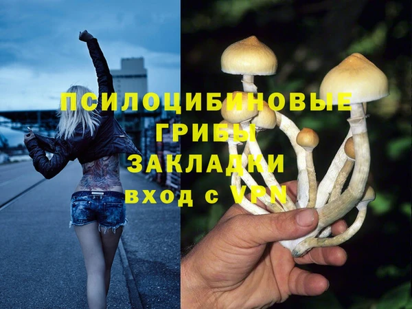дурь Верхний Тагил