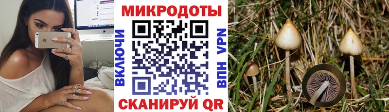 Галлюциногенные грибы ЛСД  Купить закладки  Краснокамск 